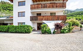 Langstein Wohnung Sonnenblume
